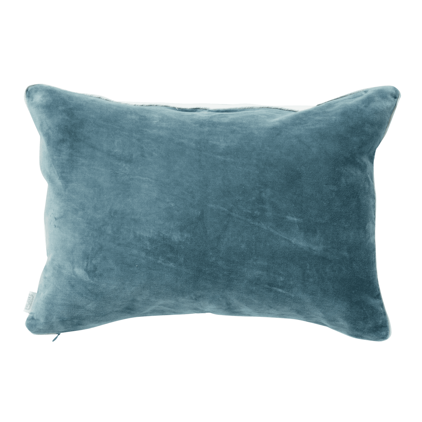 Housse de coussin imprimée de fleurs indiennes et de velours bleu