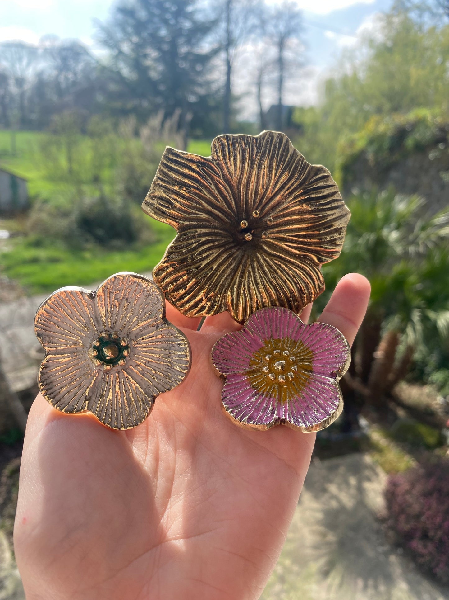 Bouton hibiscus